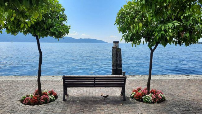 Quadrilocale fronte lago