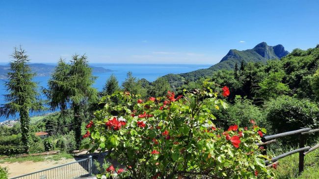 Rustico ristrutturato con terreno e vista lago.