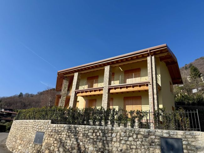 Newly built villa with swimming pool and lake view