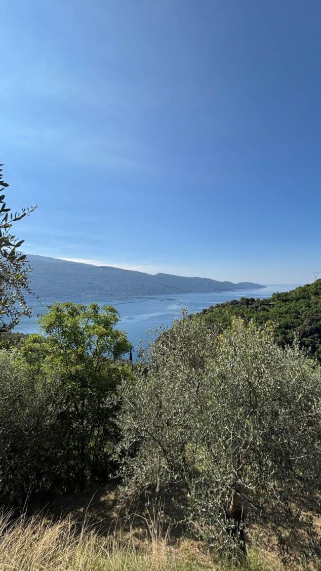 Agricultural land with olive grove and lake view in Tignale