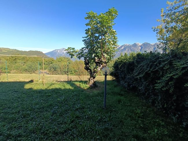 Trilocale al piano terra con giardino